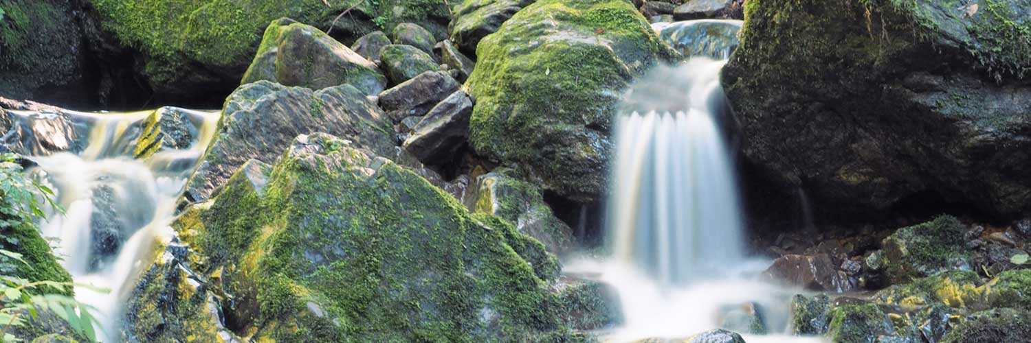 Clean water as a future market